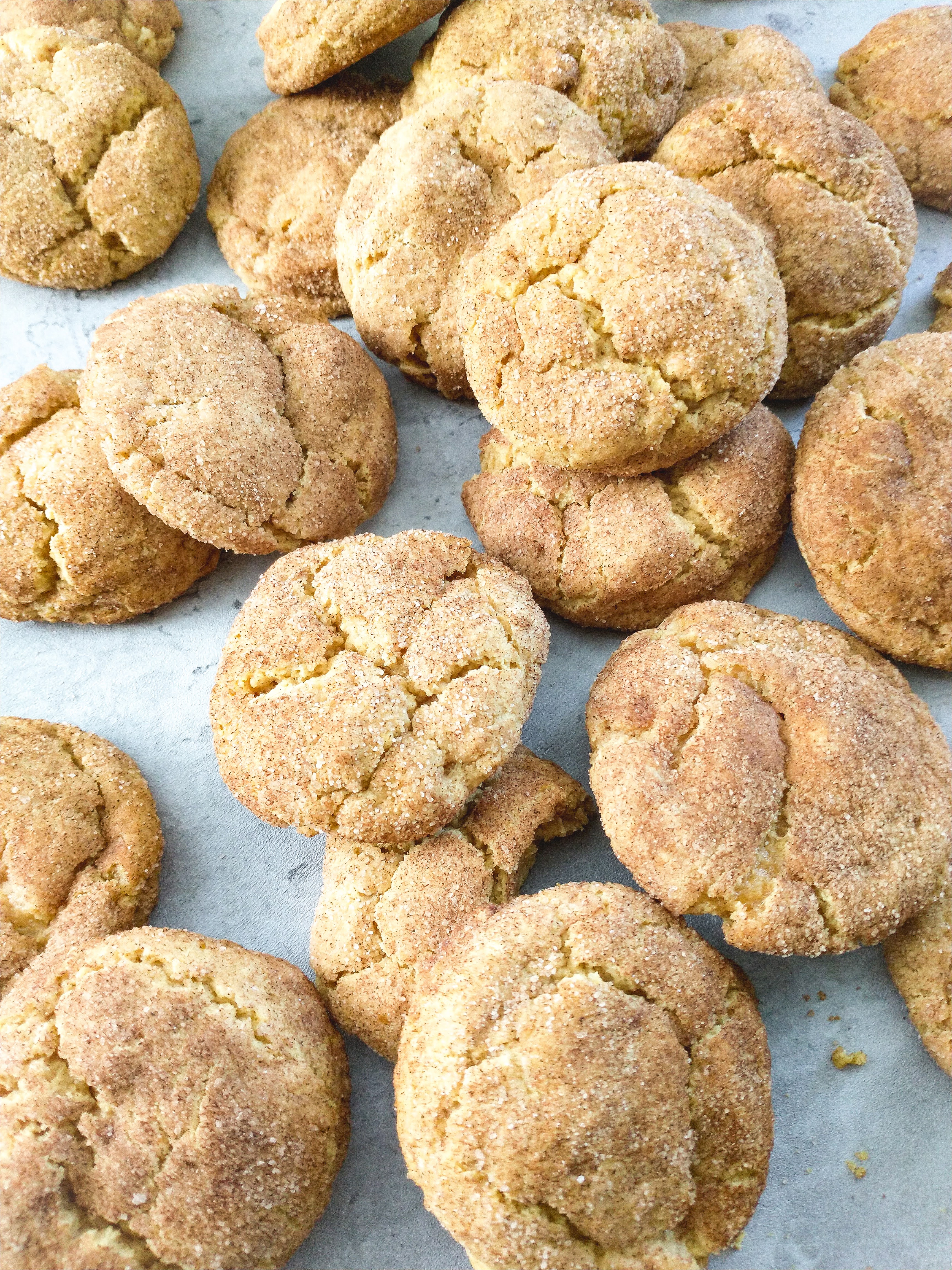 soft and chewy pumpkin snickerdoodle cookies
