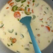 carrots, celery, onions, milk, chicken stock in slow cooker.