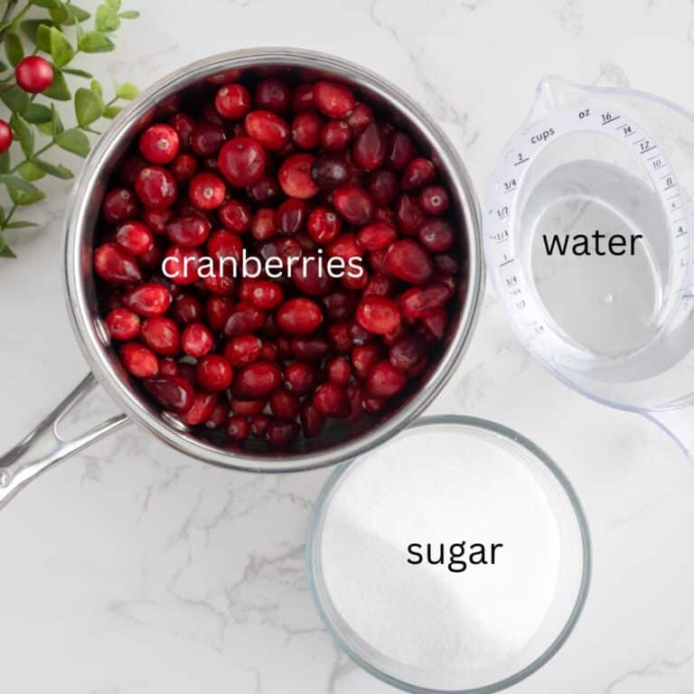 Classic Ocean Spray Cranberry Sauce (Easy) Simply Scrumptious Eats