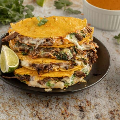 Birria Quesadillas Simply Scrumptious Eats