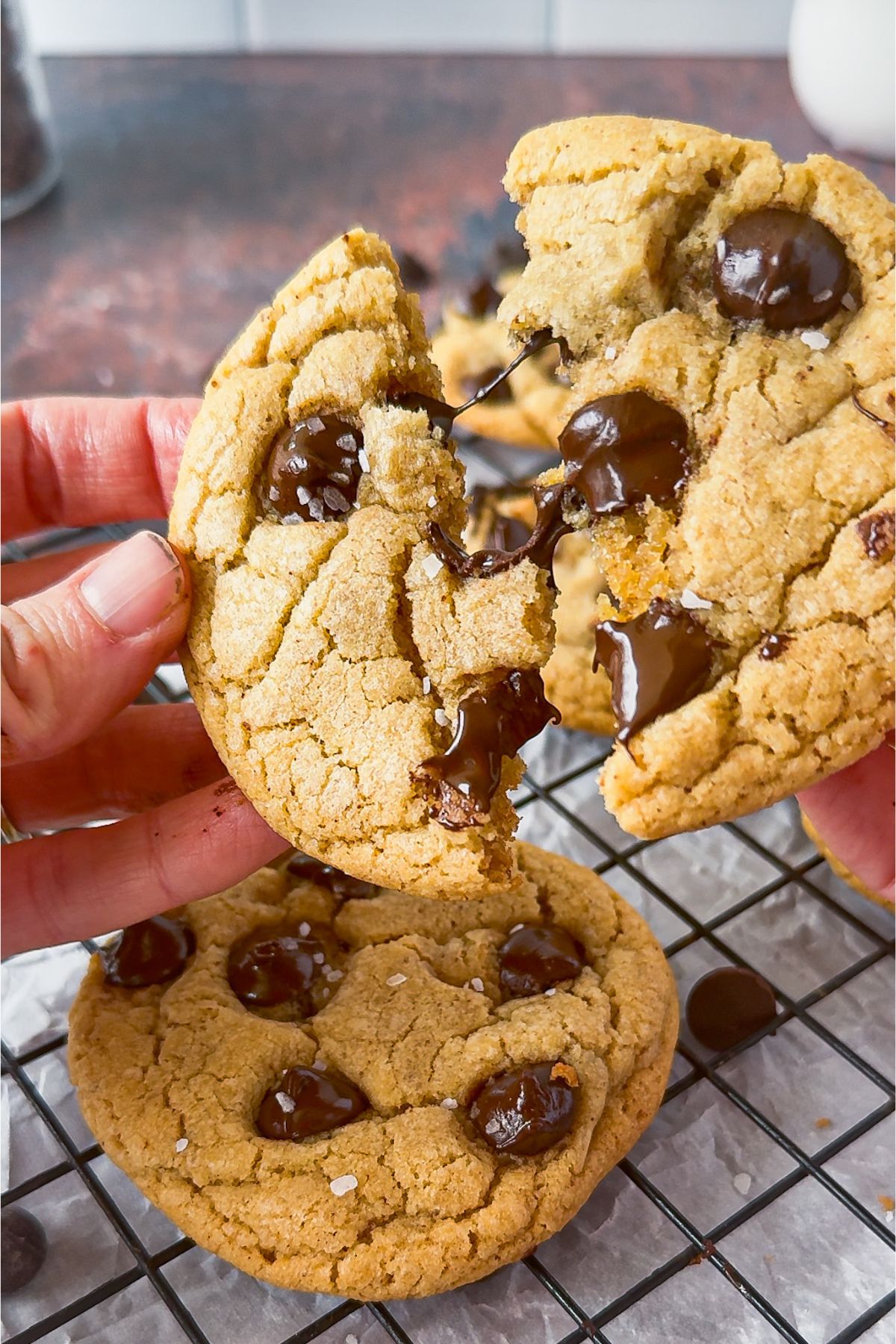 Small batch chocolate chip cookies.