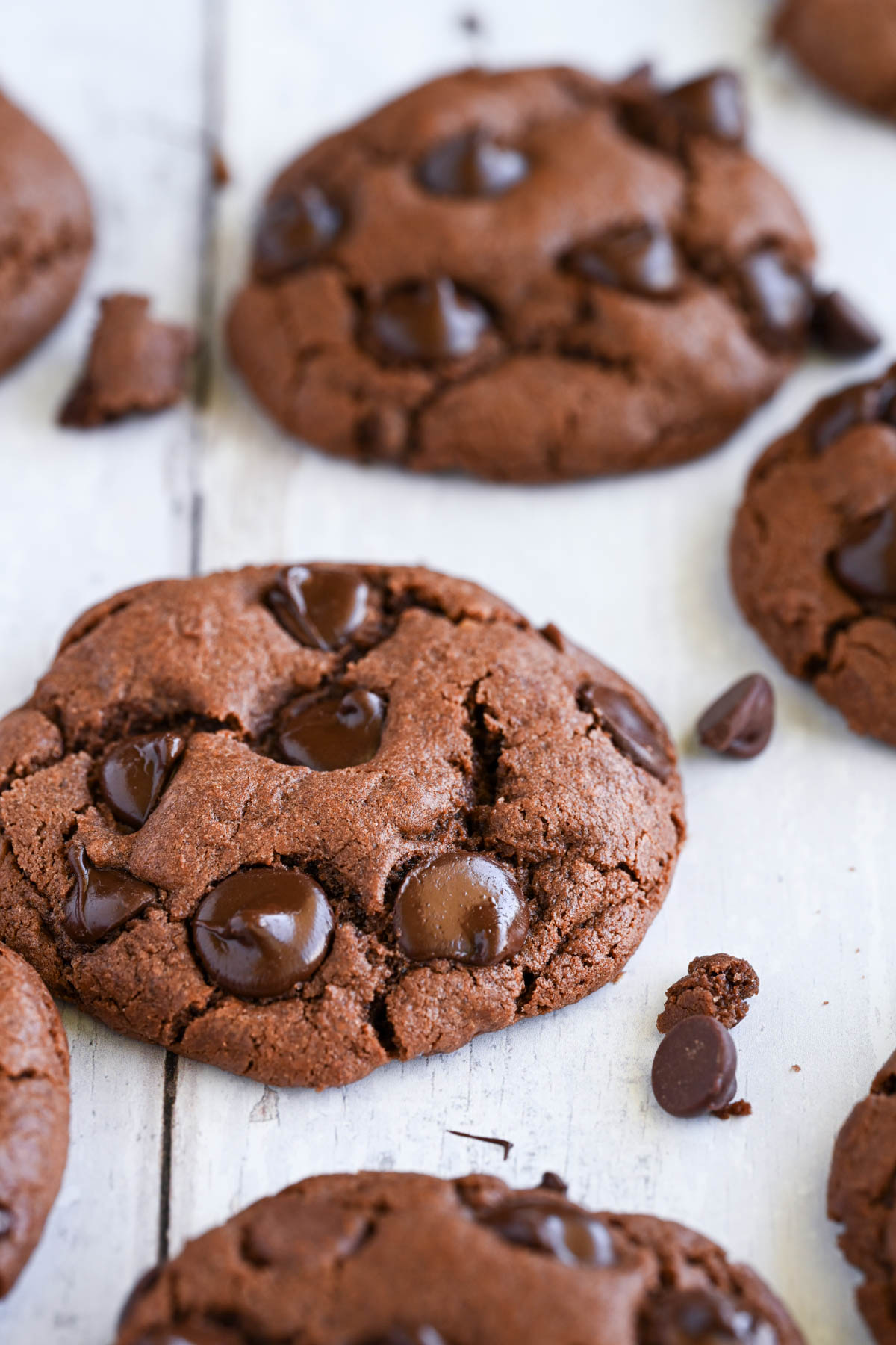 Close up of double chocolate chip cookie.