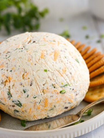 Formed cheese ball with crackers.