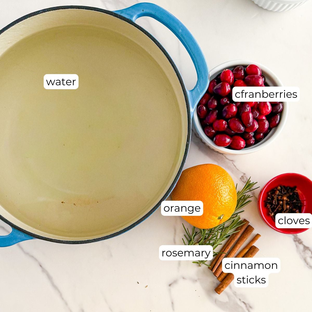 Ingredients for simmer pot.