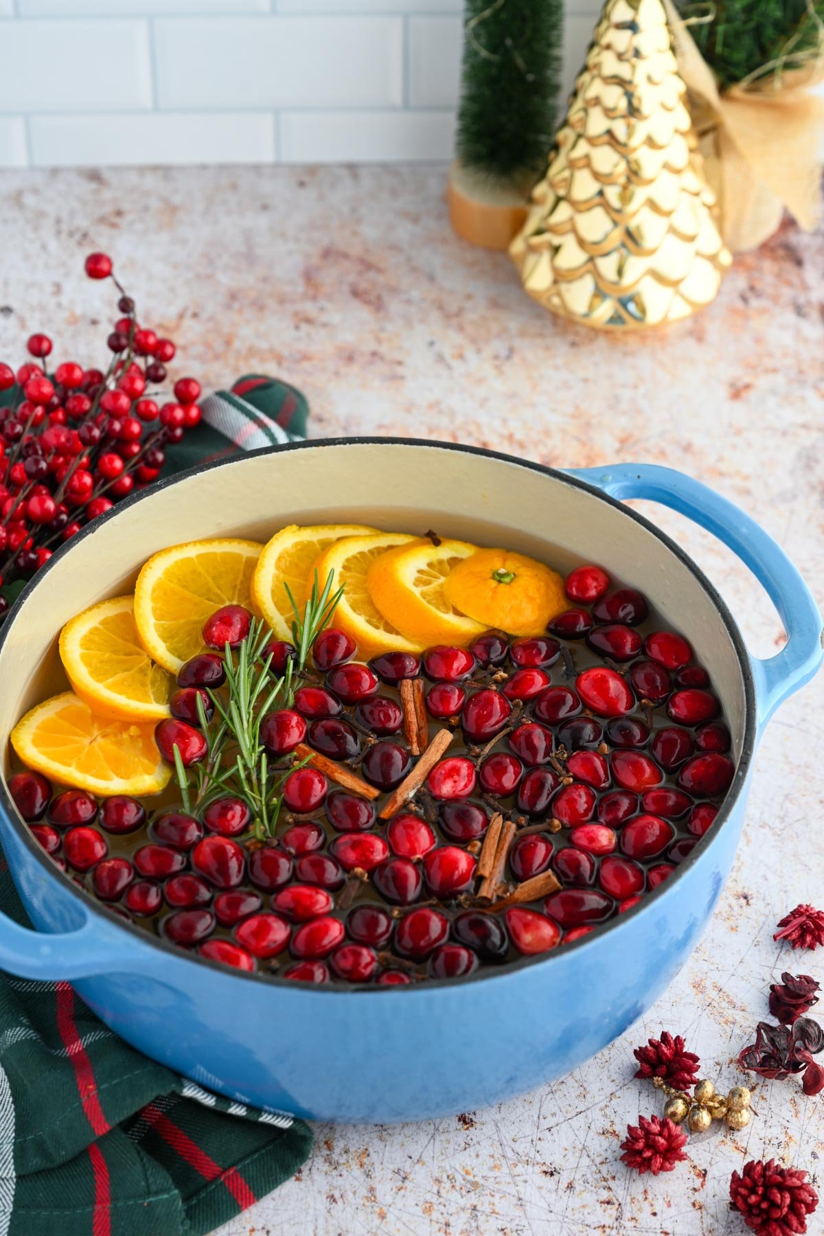 Pot of Christmas Simmer pot. 