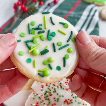 Decorated sugar cookie with icing.