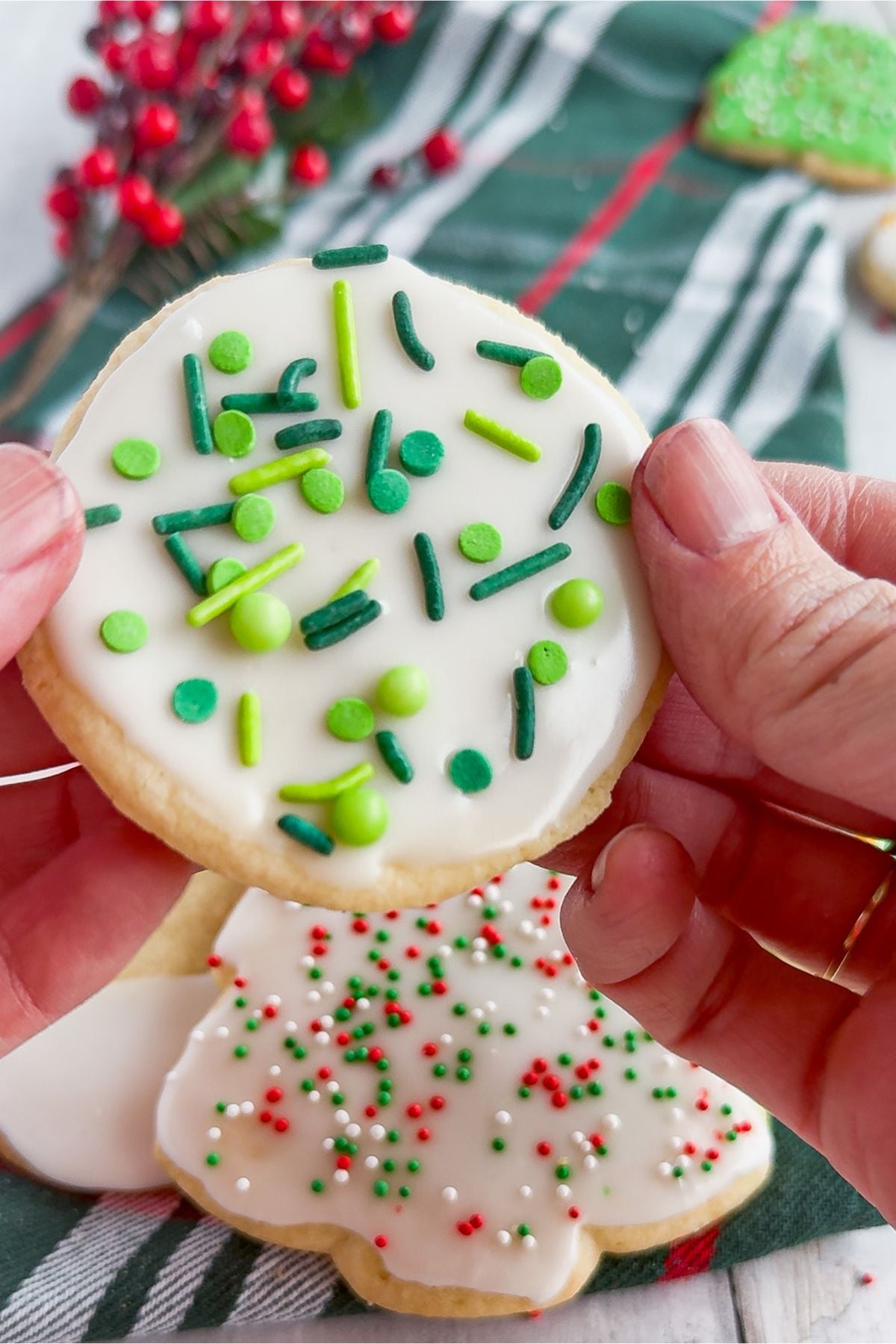 Decorated sugar cookie with icing.