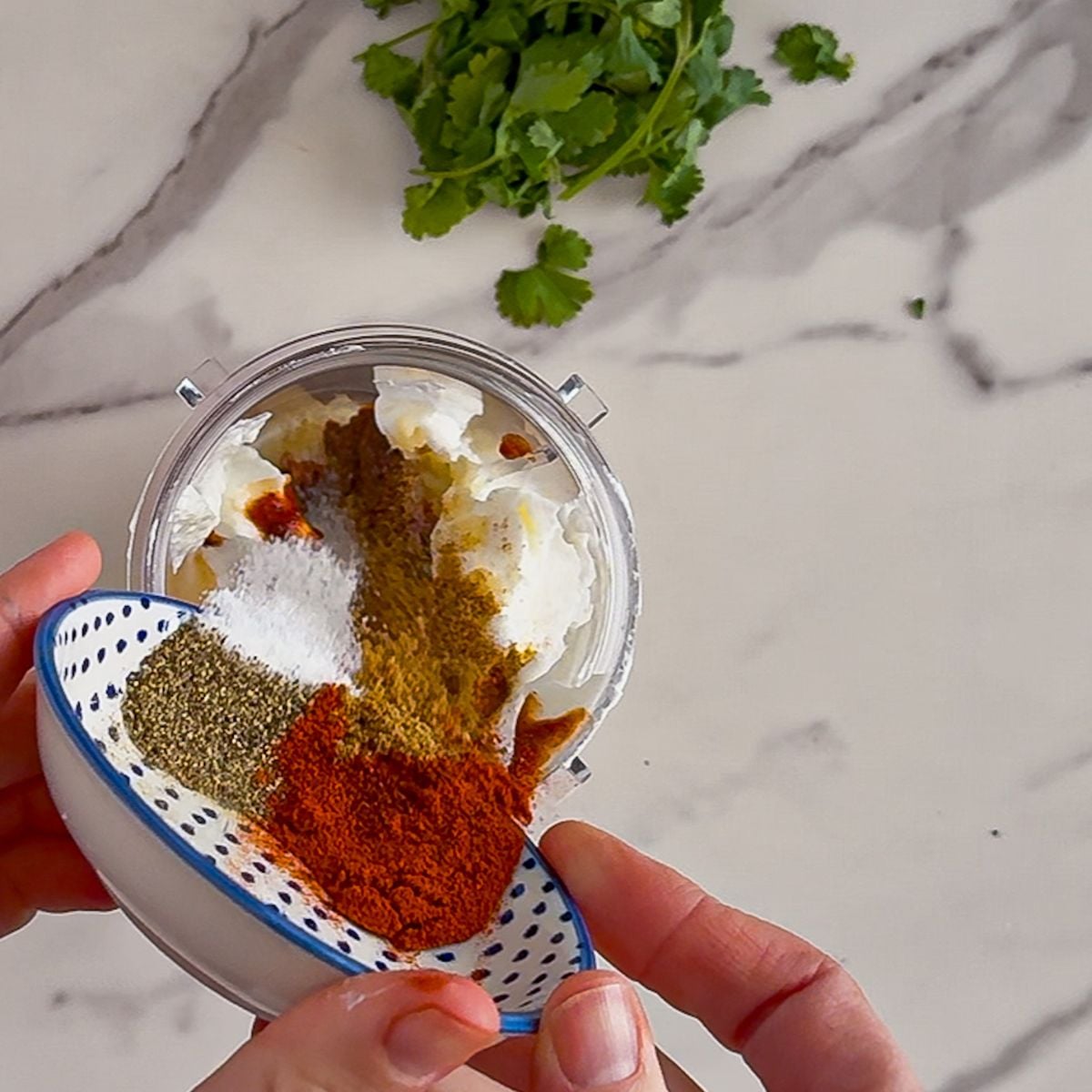 Adding the spices to the blender.